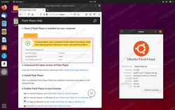 4 Installation de Pepper Flash Player sur le navigateur Mozilla Firefox